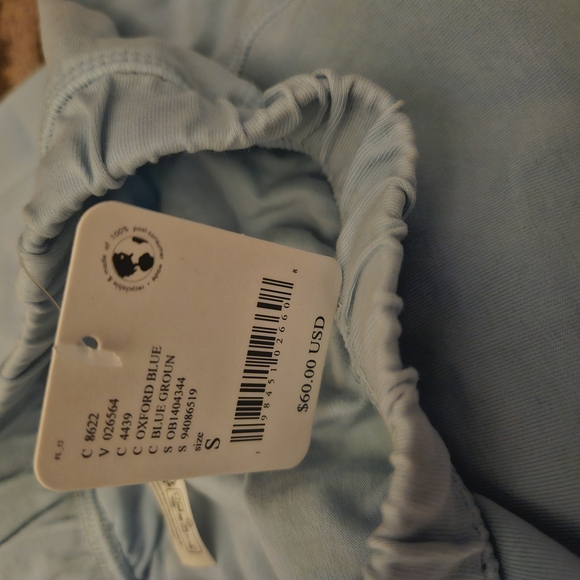 Free People Hotshot Sky Blue Joggers - Picture 9 of 11